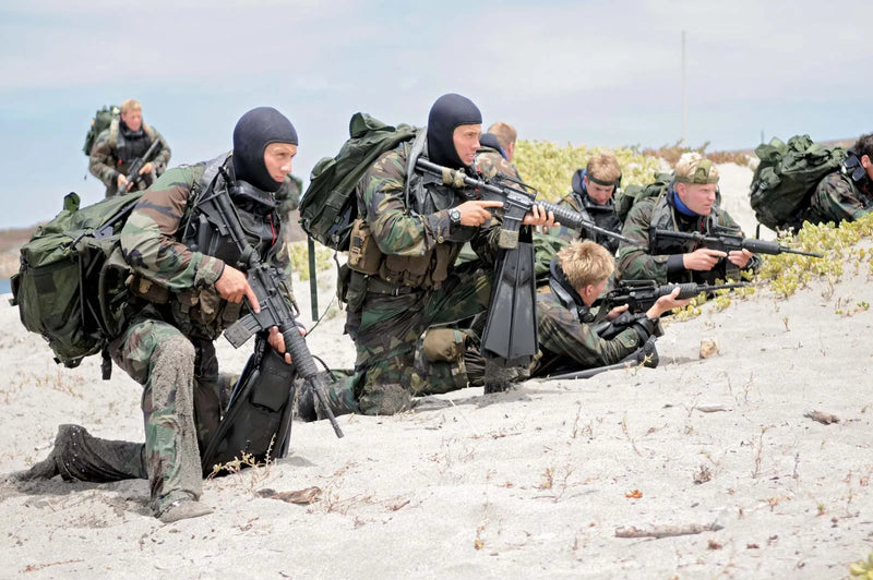 All About US Navy SEALs: Training, Salaries, and Famous Members