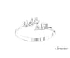 USC Delta Gamma Floating Ring White Gold